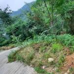 زمین مسکونی - شهرکی بر اصلی جاده