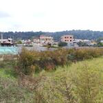 زمین جنگلی چسبیده به بافت قابل ساخت