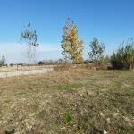 زمین فوق العاده چسبیده به بافت