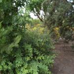 خرید زمین داخل بافت شهرکی