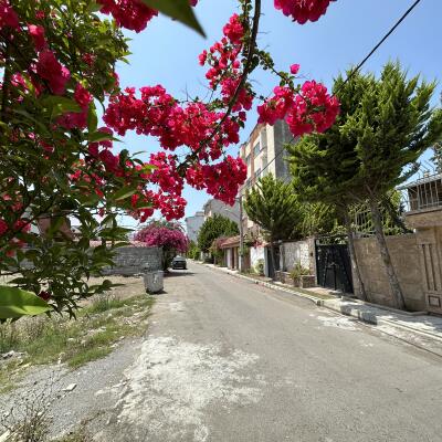 زمین ۳۰۰ متری خوش قیمت خط دریا / برج سازی