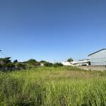 زمین 1000 متری مسکونی منطقه فانوس