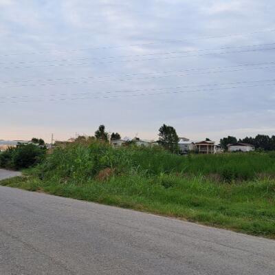 زمین 4 هکتاری جهت شهرک سازی