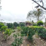 زمین مسکونی با یک سوئیت ۵۰ متری