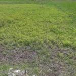 فروش زمین با موقعیت استثنایی