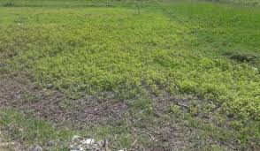 فروش زمین با موقعیت استثنایی