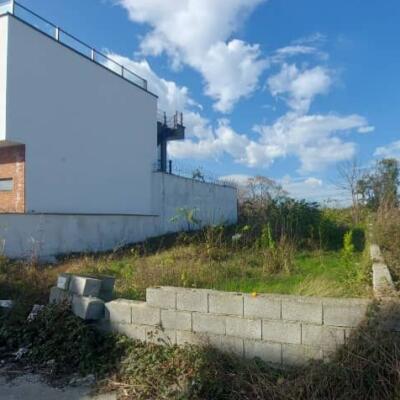 زمین ۲۸۰ متری سنددار شهرکی با دید جنگل