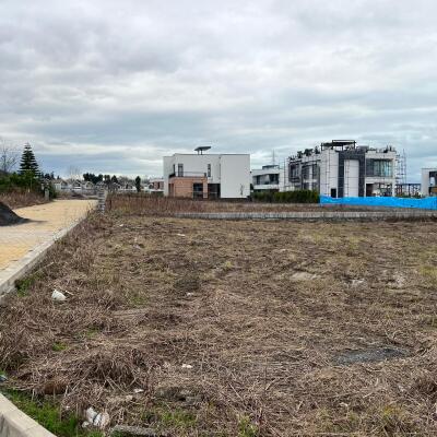 خرید زمین ۵۰۰ متری در محله یاس مهرگان