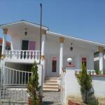 ویلا نیم پیلوت جنگلی