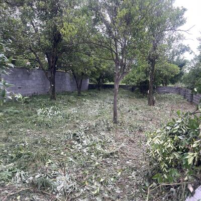 زمین خوش قواره 320 متری