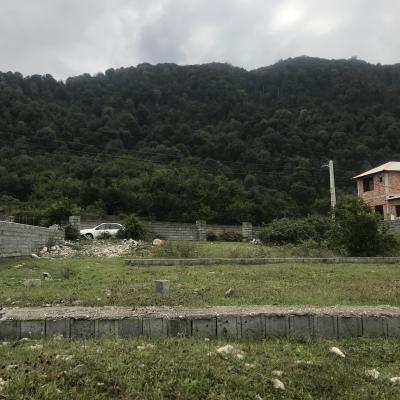 زمین کنار جنگل در نخ شمال