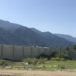 زمین با دید جنگل