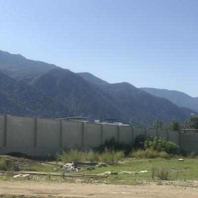 زمین با دید جنگل