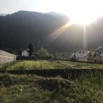 فروش زمین در دل جنگل