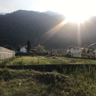 فروش زمین در دل جنگل