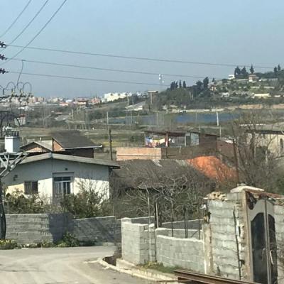 خرید زمین به همراه درخت مرکبات