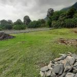 خرید زمین کنار جنگل نوشهر