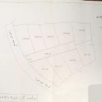 فروش زمین جنگلی