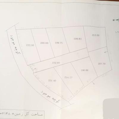 فروش زمین جنگلی